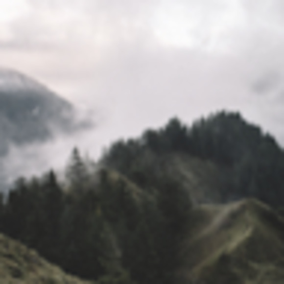 Meet your Posher, Kendra - Picture 1 of 1